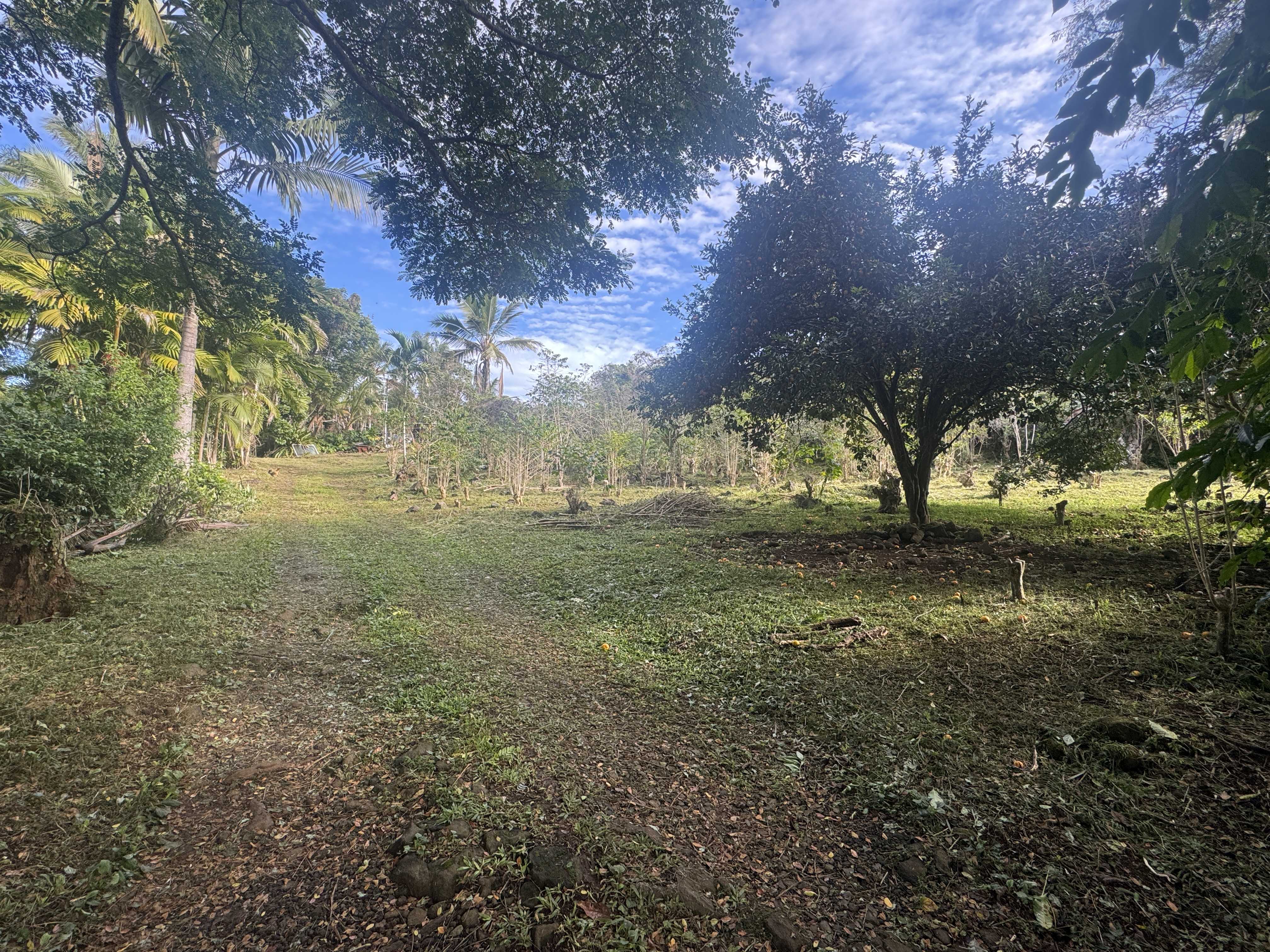 82-1161 KINUE RD, Captain Cook, HI 96704
