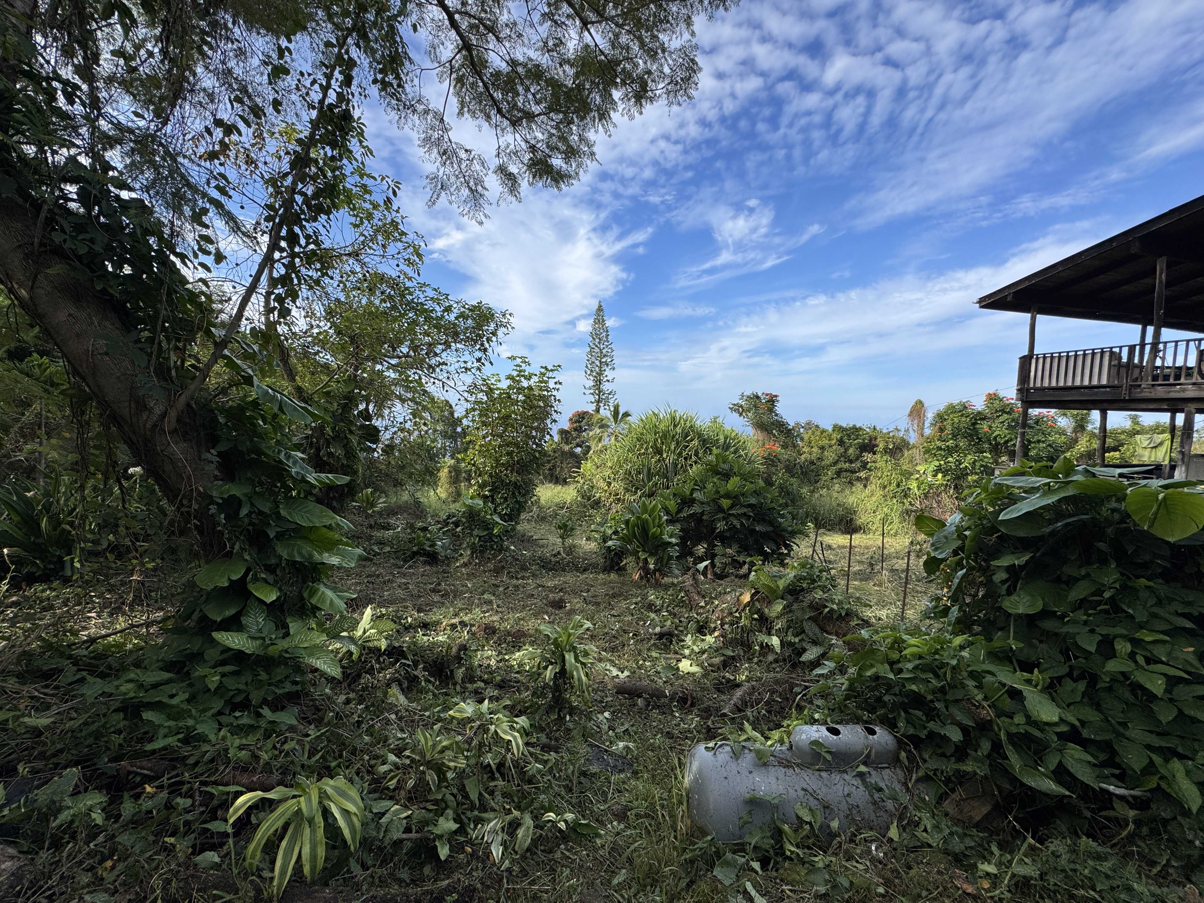 82-1161 KINUE RD, Captain Cook, HI 96704