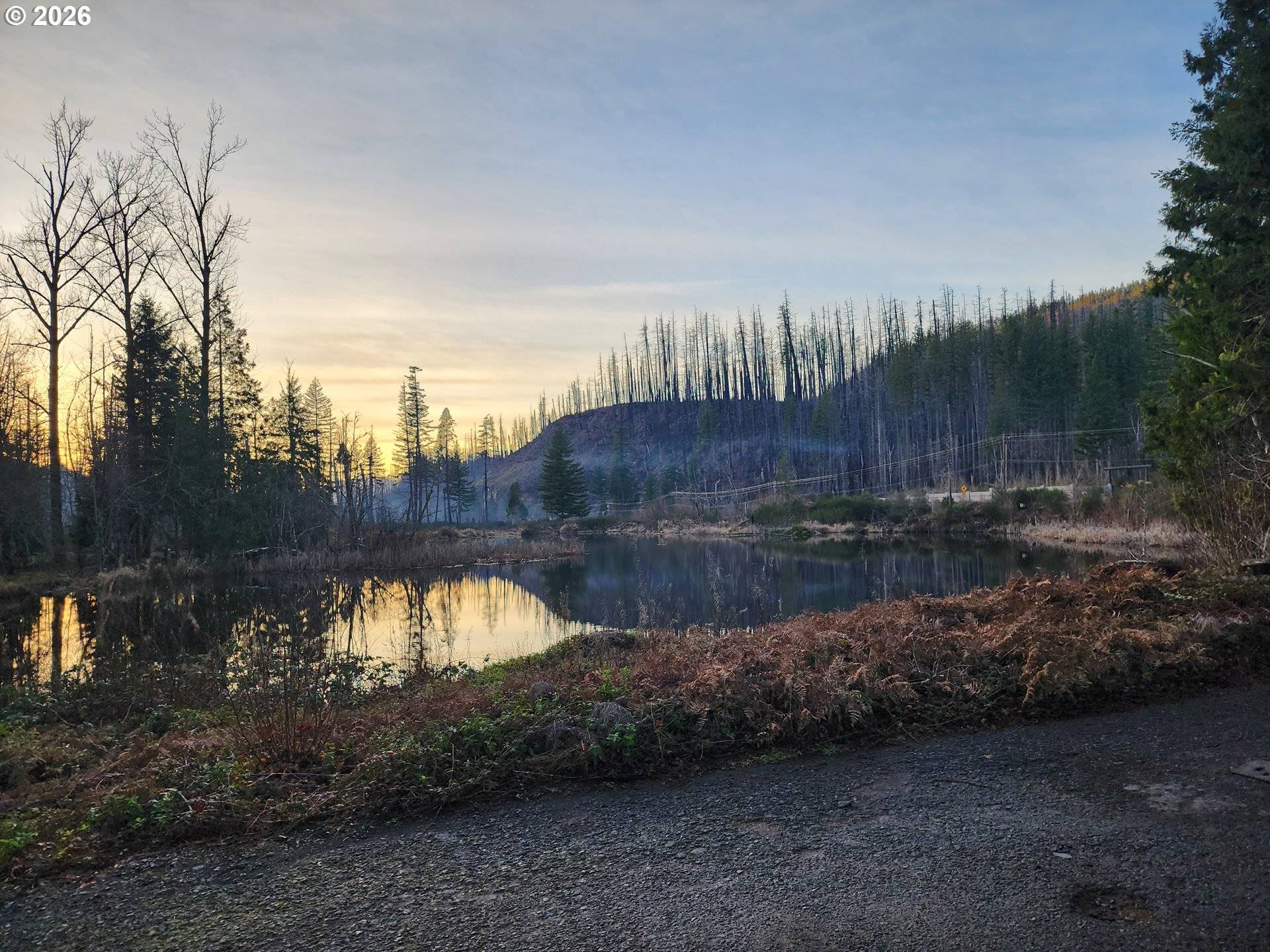 54432 MCKENZIE HWY #9, Blue River, OR 97413
