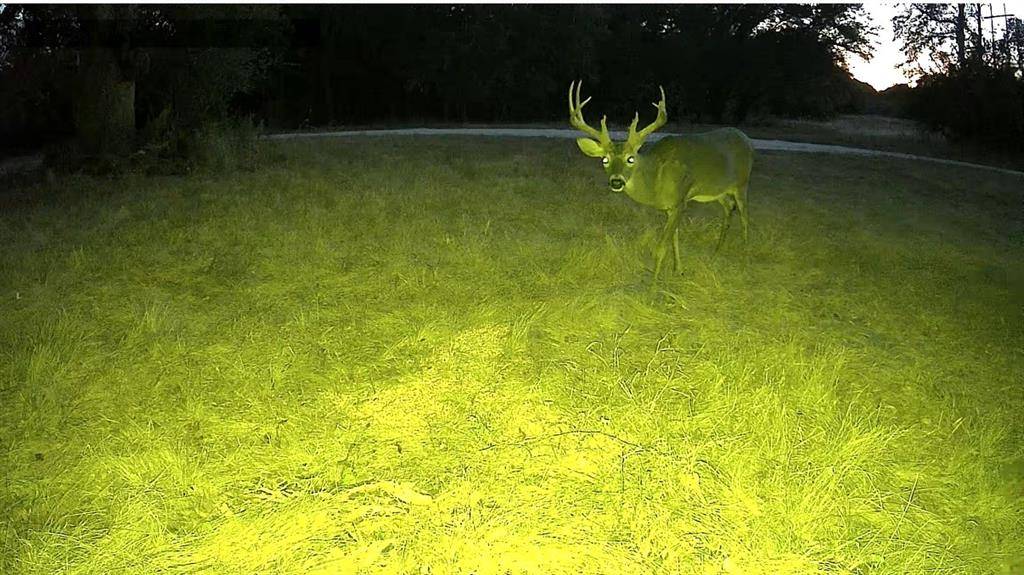 Clifton, TX 76689,2393 FM 708