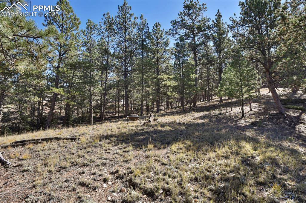 Florissant, CO 80816,504 Bear Mountain RD