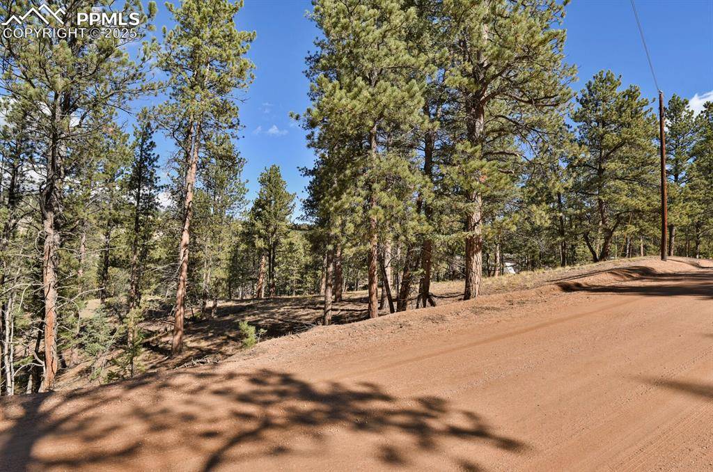 Florissant, CO 80816,504 Bear Mountain RD