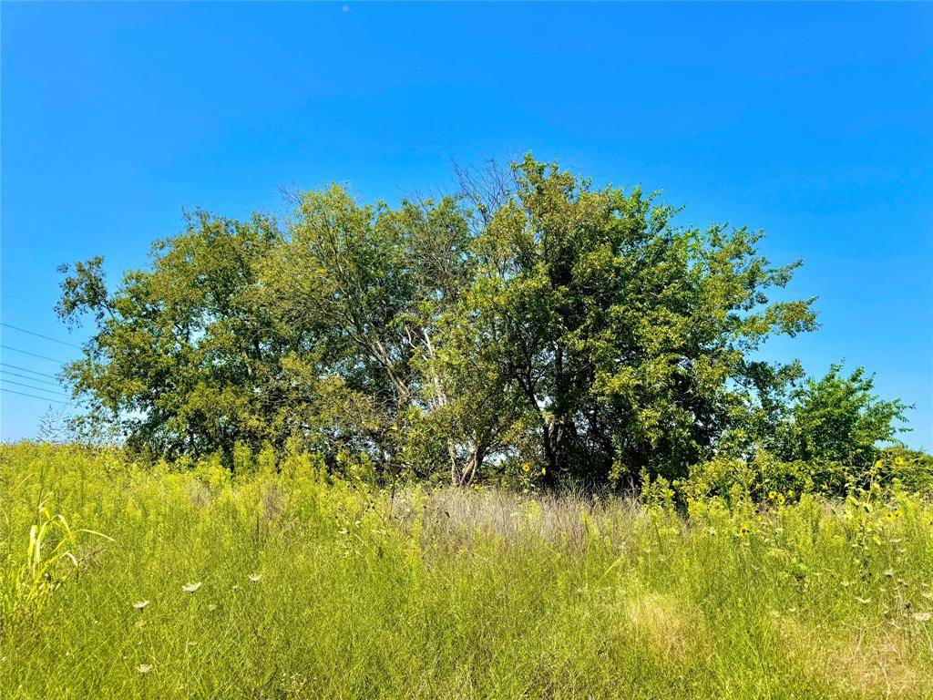 Nevada, TX 75173,Lot 9 COUNTY ROAD 592