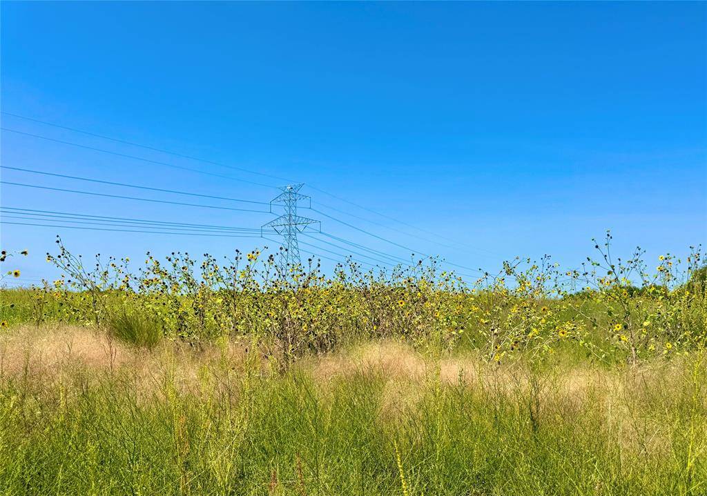 Nevada, TX 75173,Lot 9 COUNTY ROAD 592