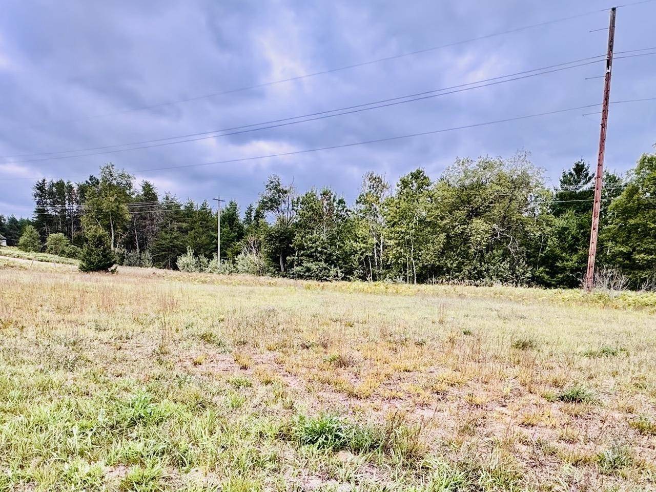 Mancelona, MI 49659,9091 NE Cumberland DR