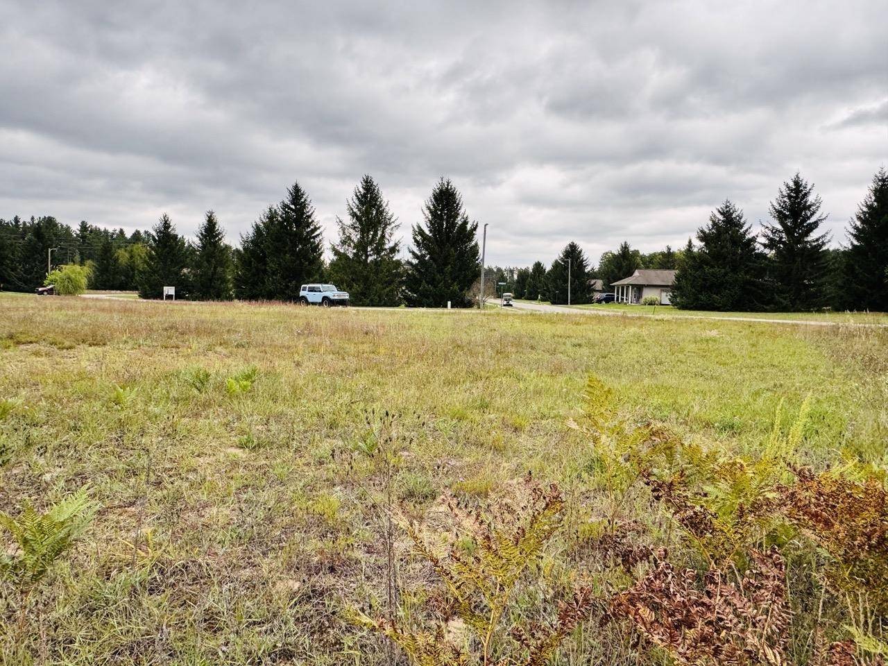 Mancelona, MI 49659,9390 Chippewa DR