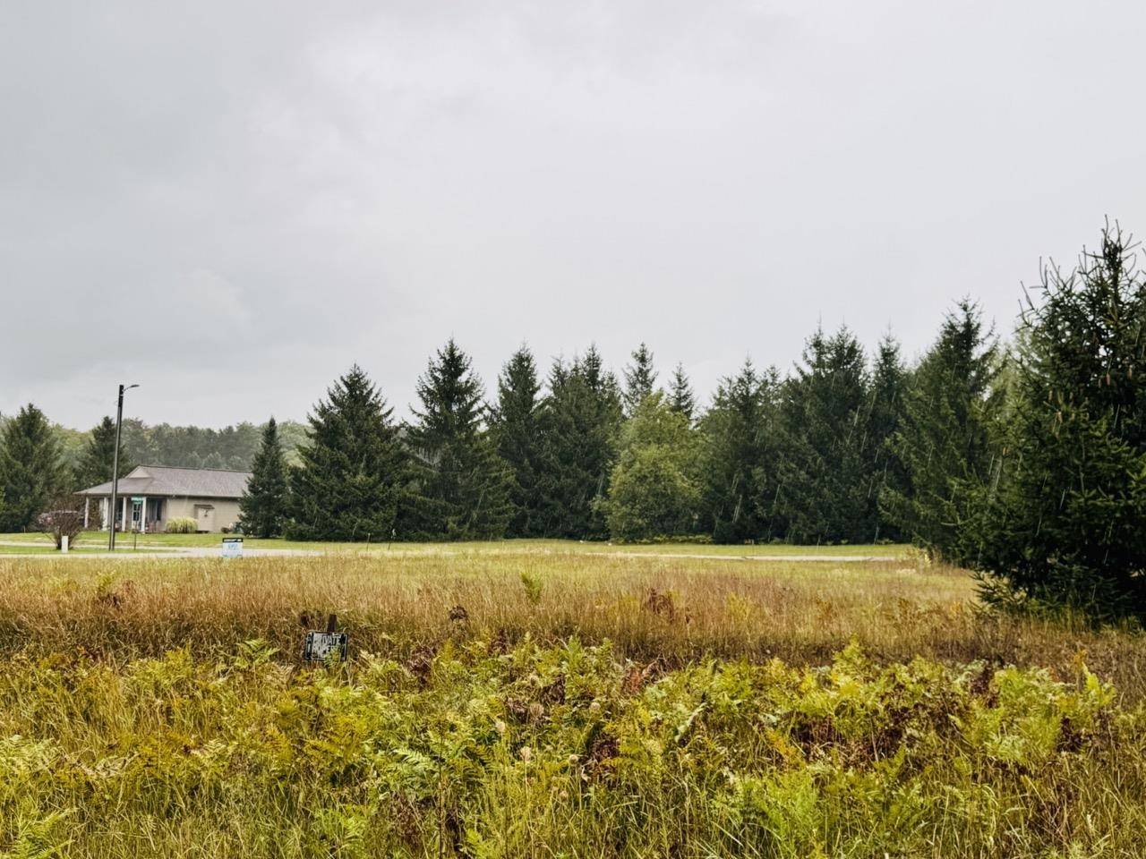 Mancelona, MI 49659,9462 Chippewa DR