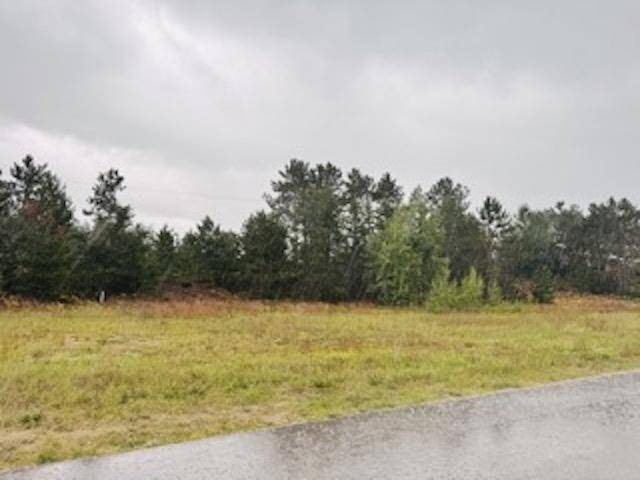 Mancelona, MI 49659,9246 Chippewa DR