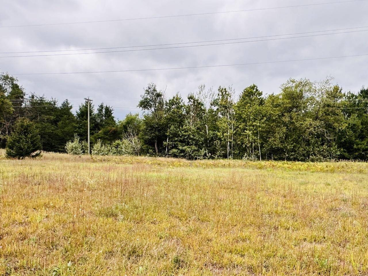 Mancelona, MI 49659,9246 Chippewa DR