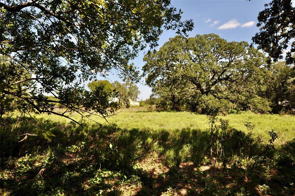 Weatherford, TX 76087,TBA Old Brock Road