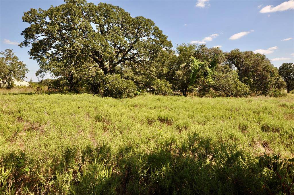 Weatherford, TX 76087,TBA Old Brock Road