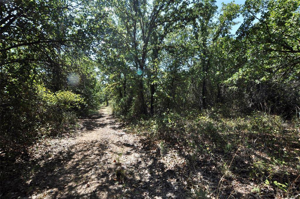 Weatherford, TX 76087,TBA Old Brock Road