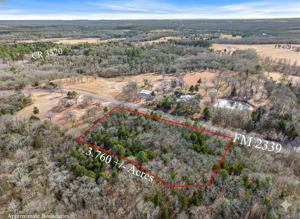 Murchison, TX 75778,Lot 20,21,22 FM 2339 (Callender Lake X)