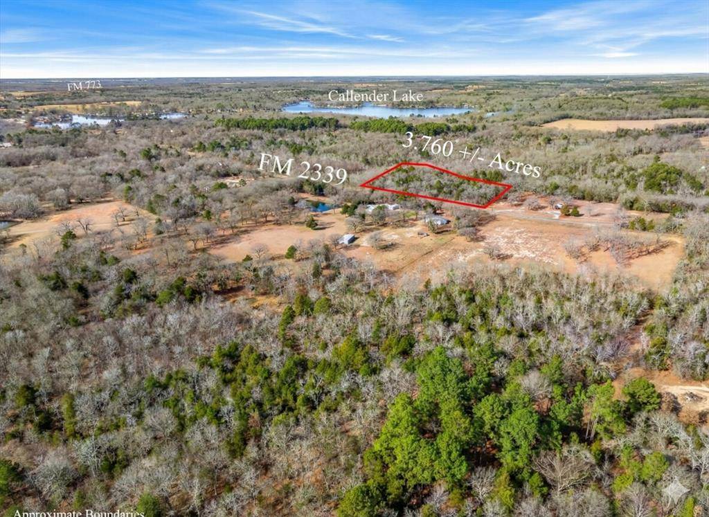 Murchison, TX 75778,Lot 20,21,22 FM 2339 (Callender Lake X)