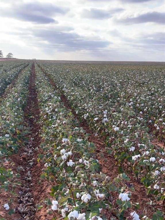 Brownfield, TX 79316,0 County Road 305