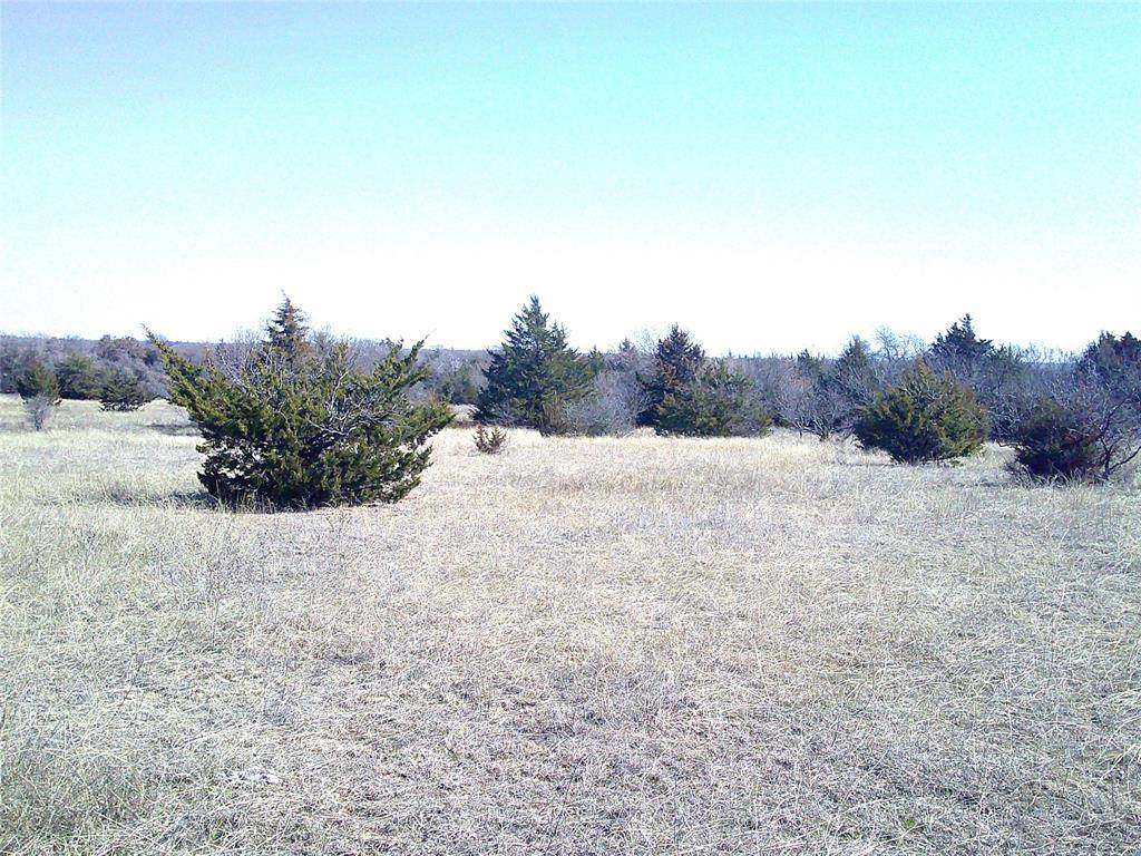 Chico, TX 76431,TR 7 CR 1750