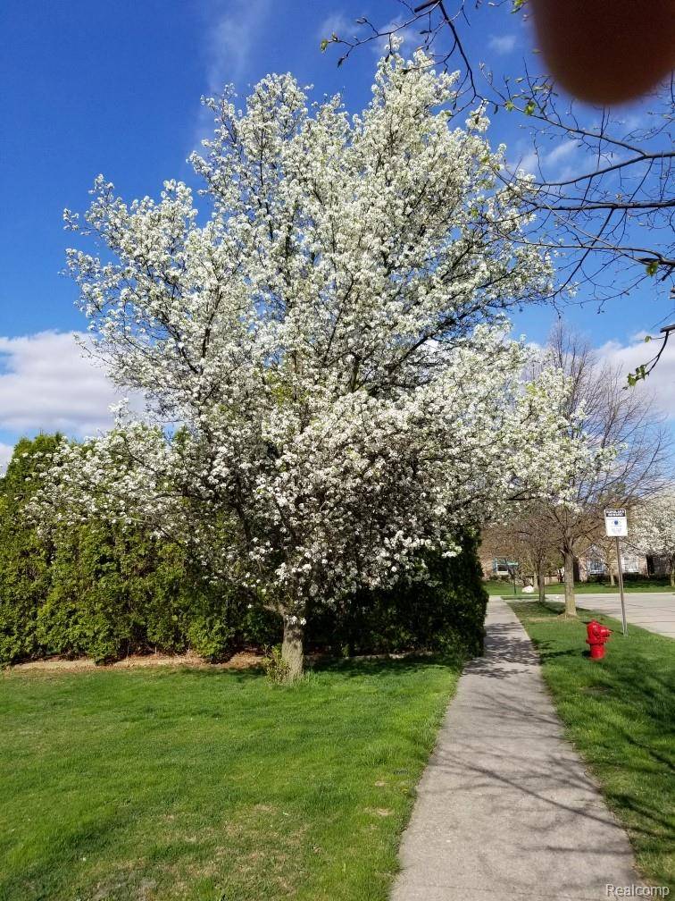 Novi, MI 48374,24404 Simmons DR