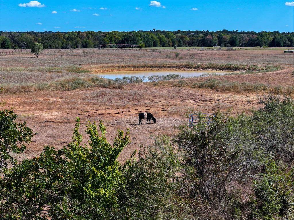 Rockdale, TX 76567,475 CR 320
