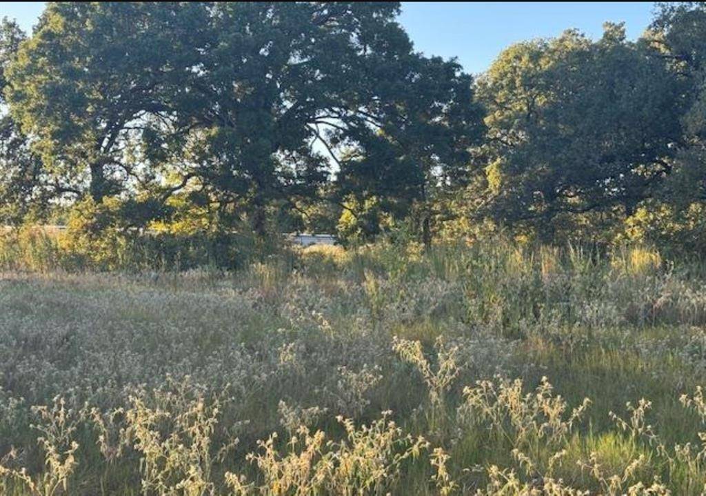 Gun Barrel City, TX 75156,767 Welch Lane