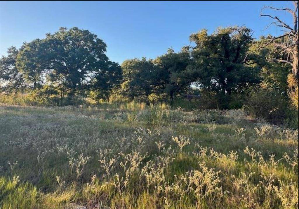 Gun Barrel City, TX 75156,767 Welch Lane