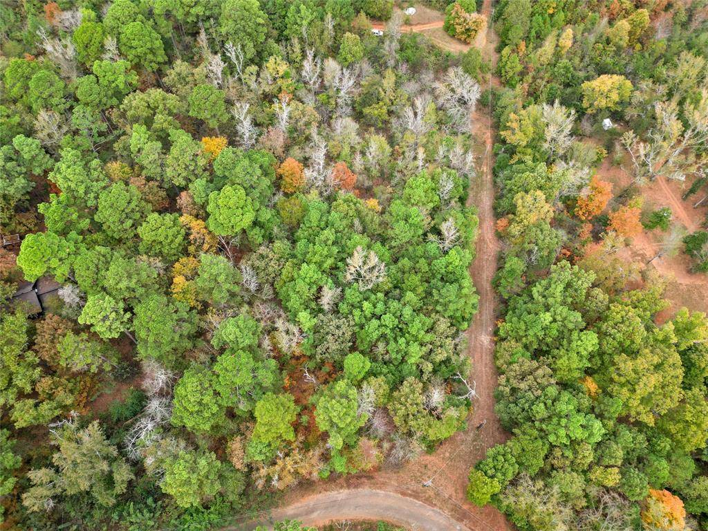 Winona, TX 75792,TBD Mountain View Road N