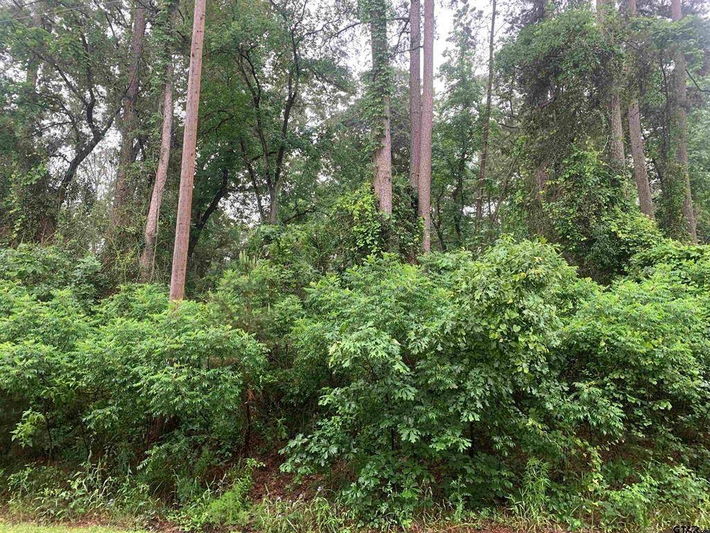 Scroggins, TX 75480,TBD Canadian Drive