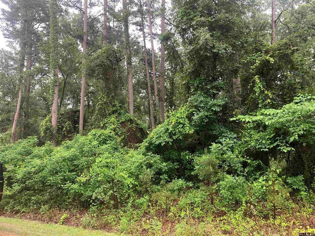 Scroggins, TX 75480,TBD Canadian Drive