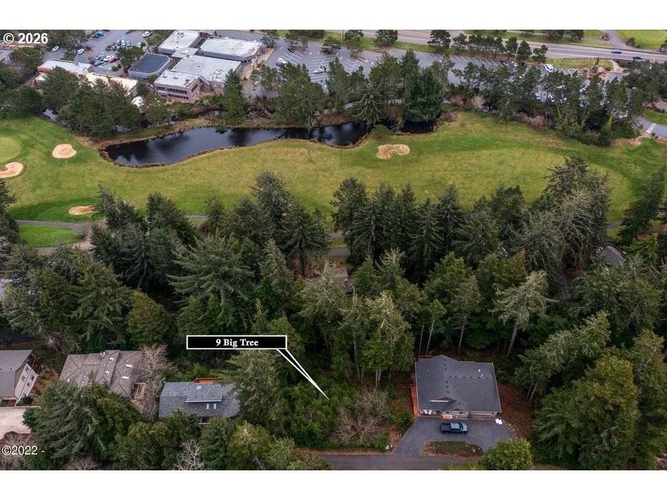 9 Big Tree RD, Gleneden Beach, OR 97388