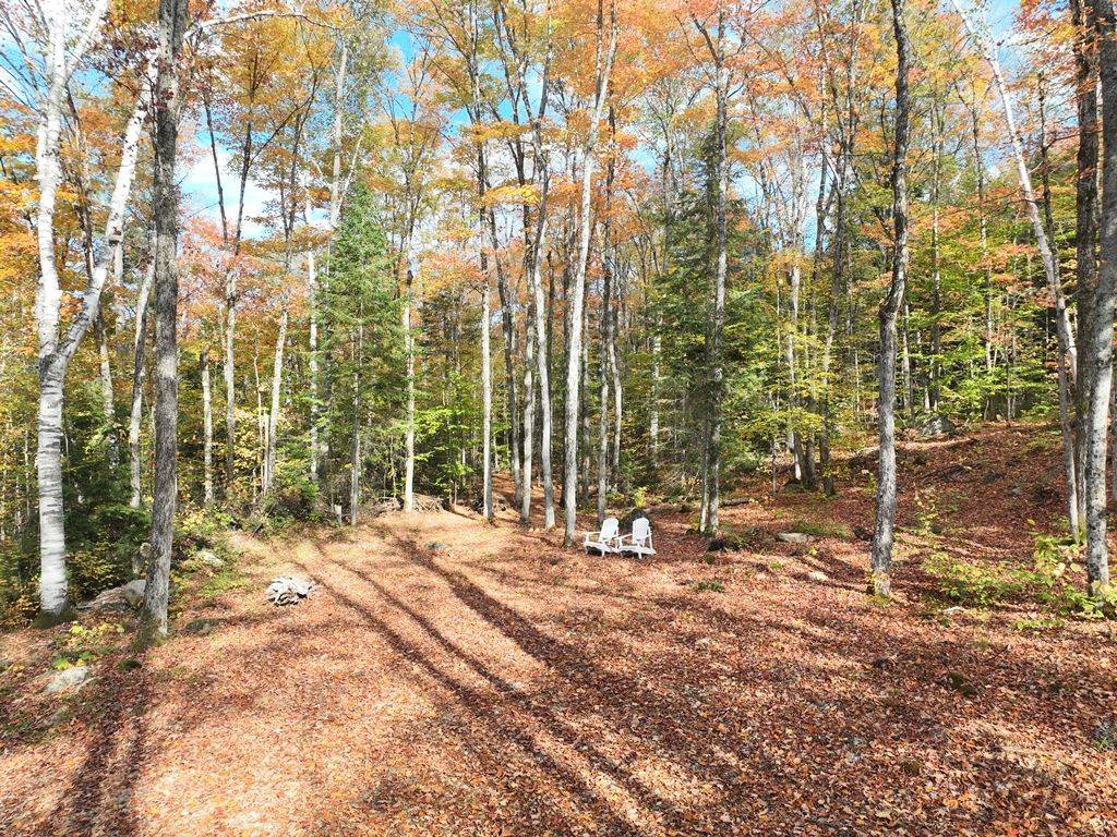 4488 Kawagama Lake RD, Algonquin Highlands, ON P0A 1E0