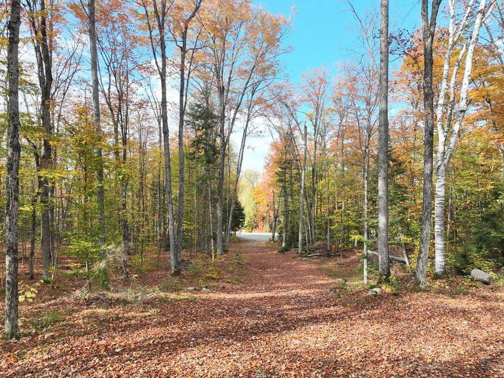 4488 Kawagama Lake RD, Algonquin Highlands, ON P0A 1E0