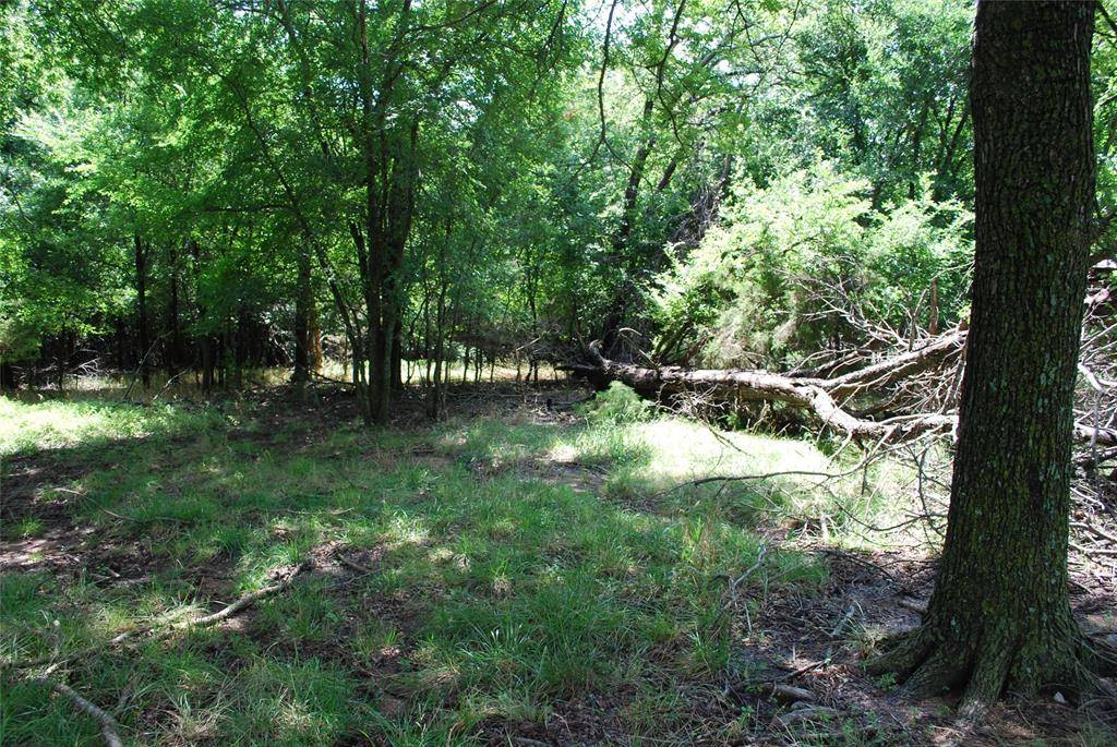 Whitney, TX 76692,15013 Golf Drive