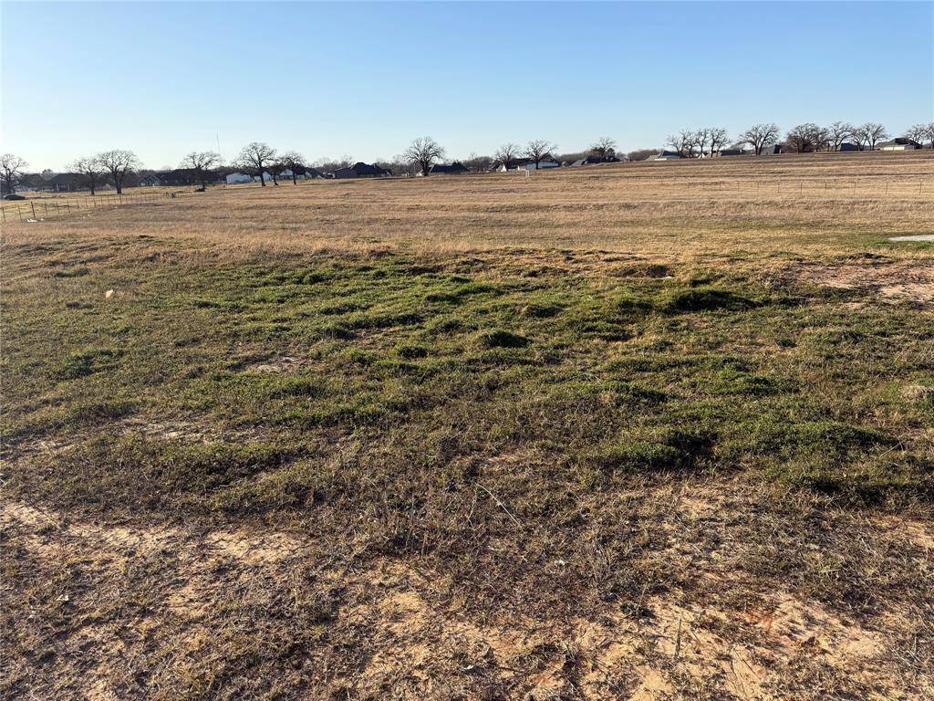 Springtown, TX 76082,1556 Thoams Road