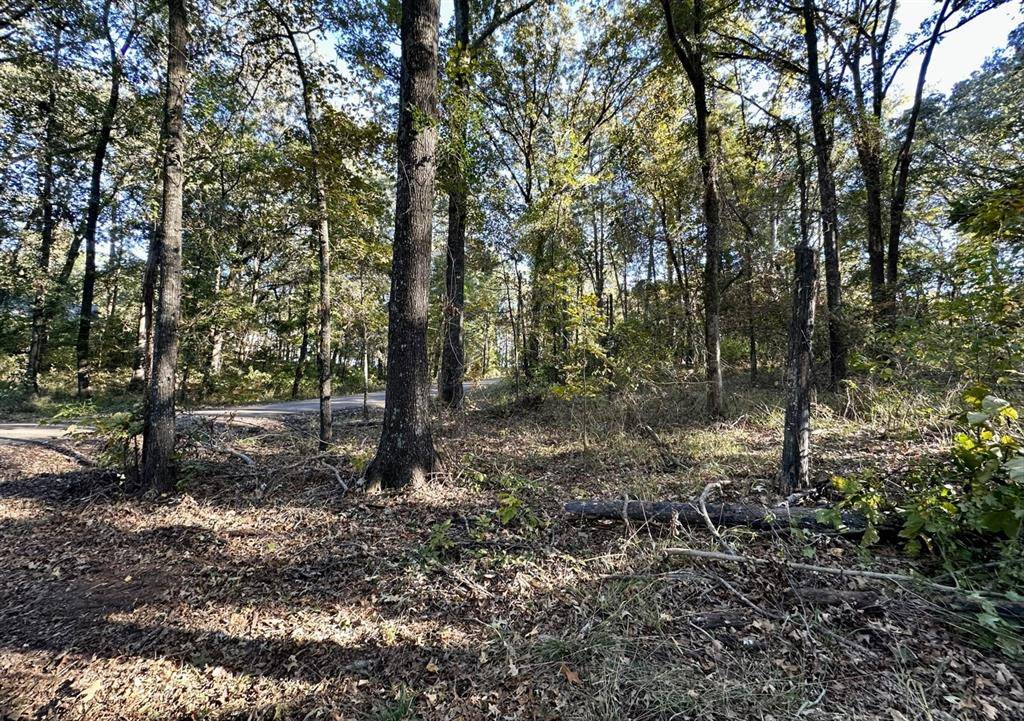 Pittsburg, TX 75686,N/A Lot 59 County Road 2938