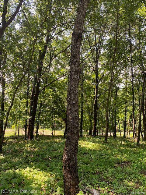 Howell, MI 48843,5 Sleaford-Parcel 5 - 2.5 Acres RD