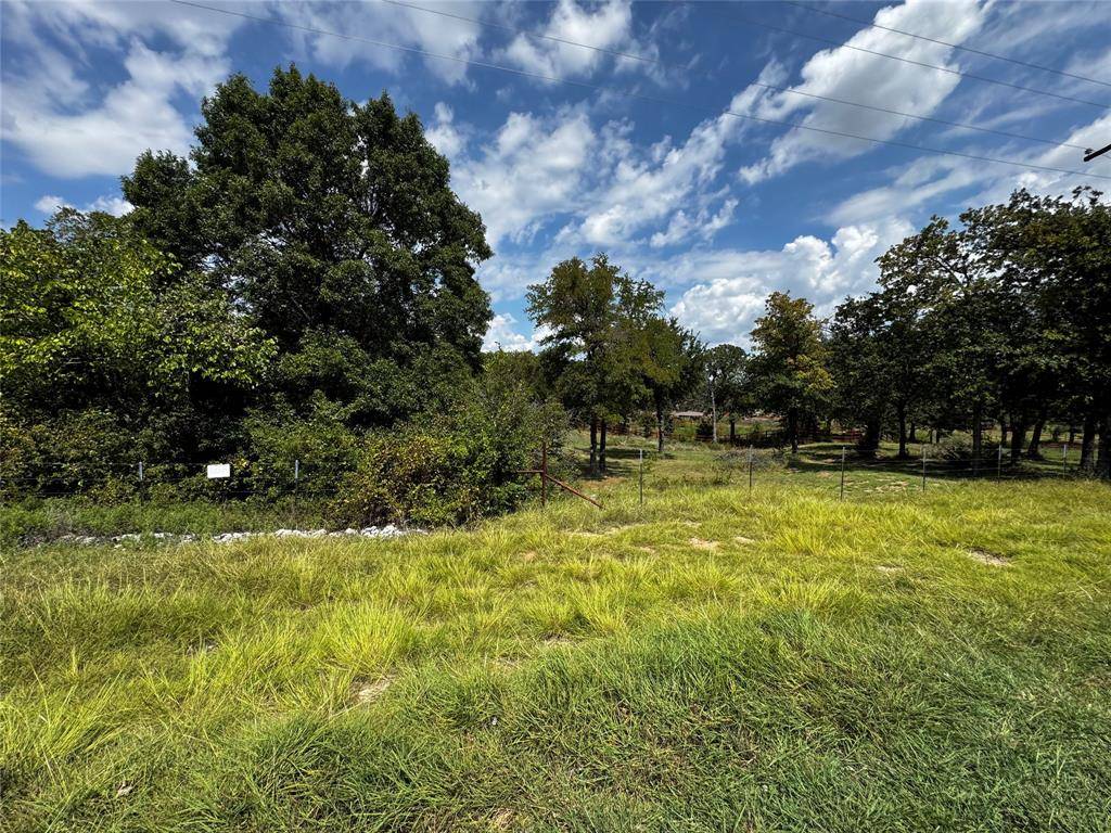 Reno, TX 76020,TBD Scenic Wood Drive