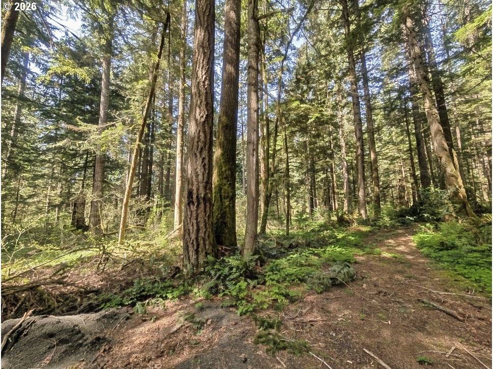 Brightwood, OR 97011,62955 E MOUNTAIN COUNTRY LN