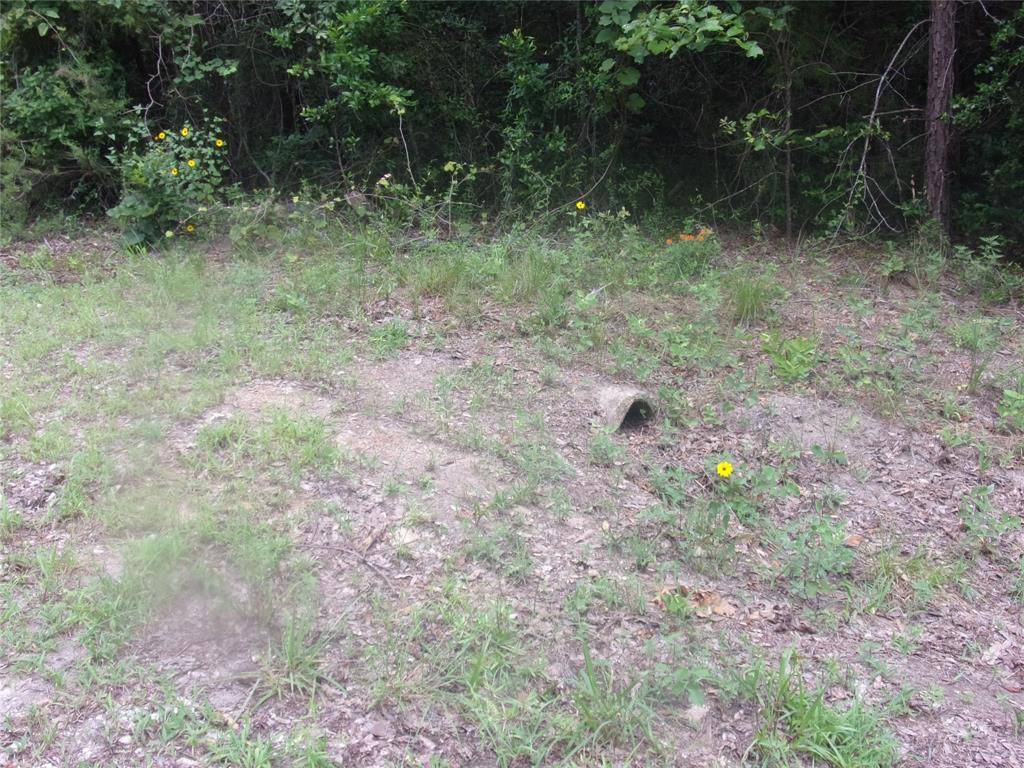 Murchison, TX 75778,tbd Holly Glen