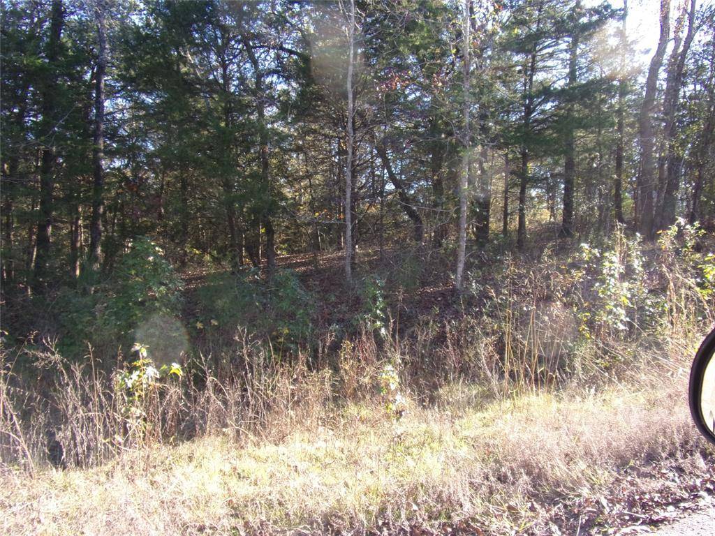 Murchison, TX 75778,000 Woodcreek Drive