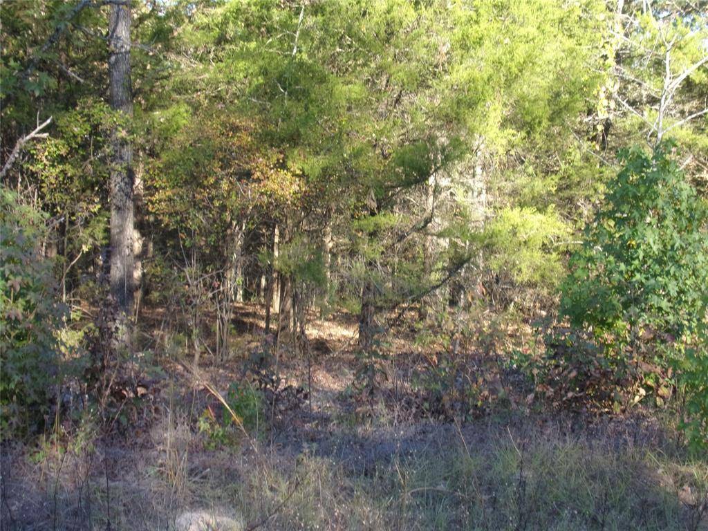 Murchison, TX 75778,000 Woodcreek Drive