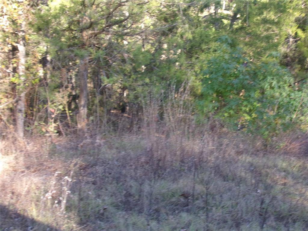 Murchison, TX 75778,000 Woodcreek Drive