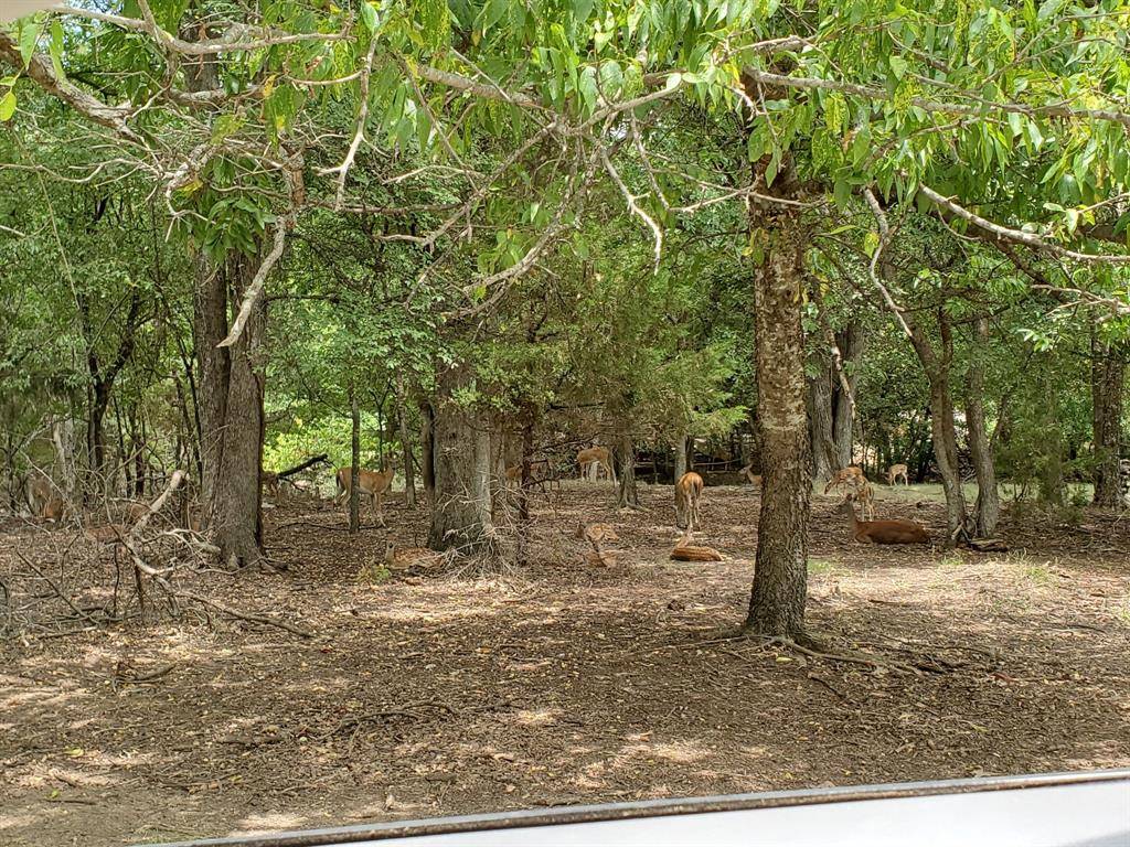 Weatherford, TX 76087,1159 Mikus Road