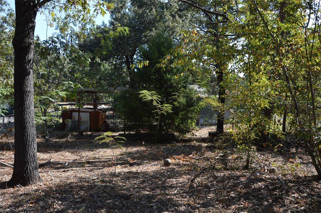 Emory, TX 75440,TBD Private Road 7704 Road #7704