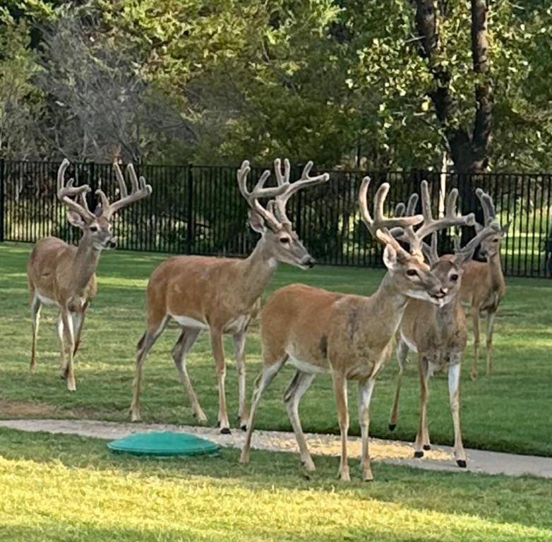 Pilot Point, TX 76258,7545 Colton Lane