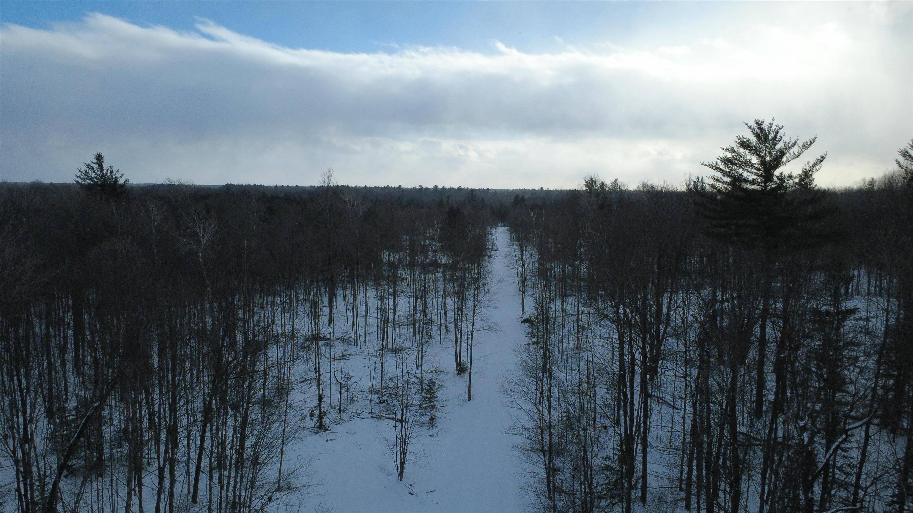 Alger, MI 48610,1319 Laporte RD