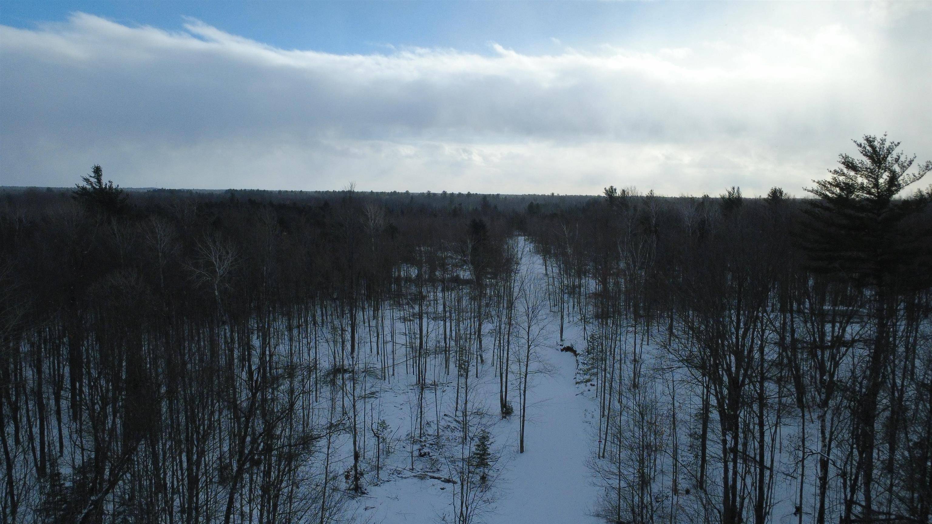 Alger, MI 48610,1319 Laporte RD