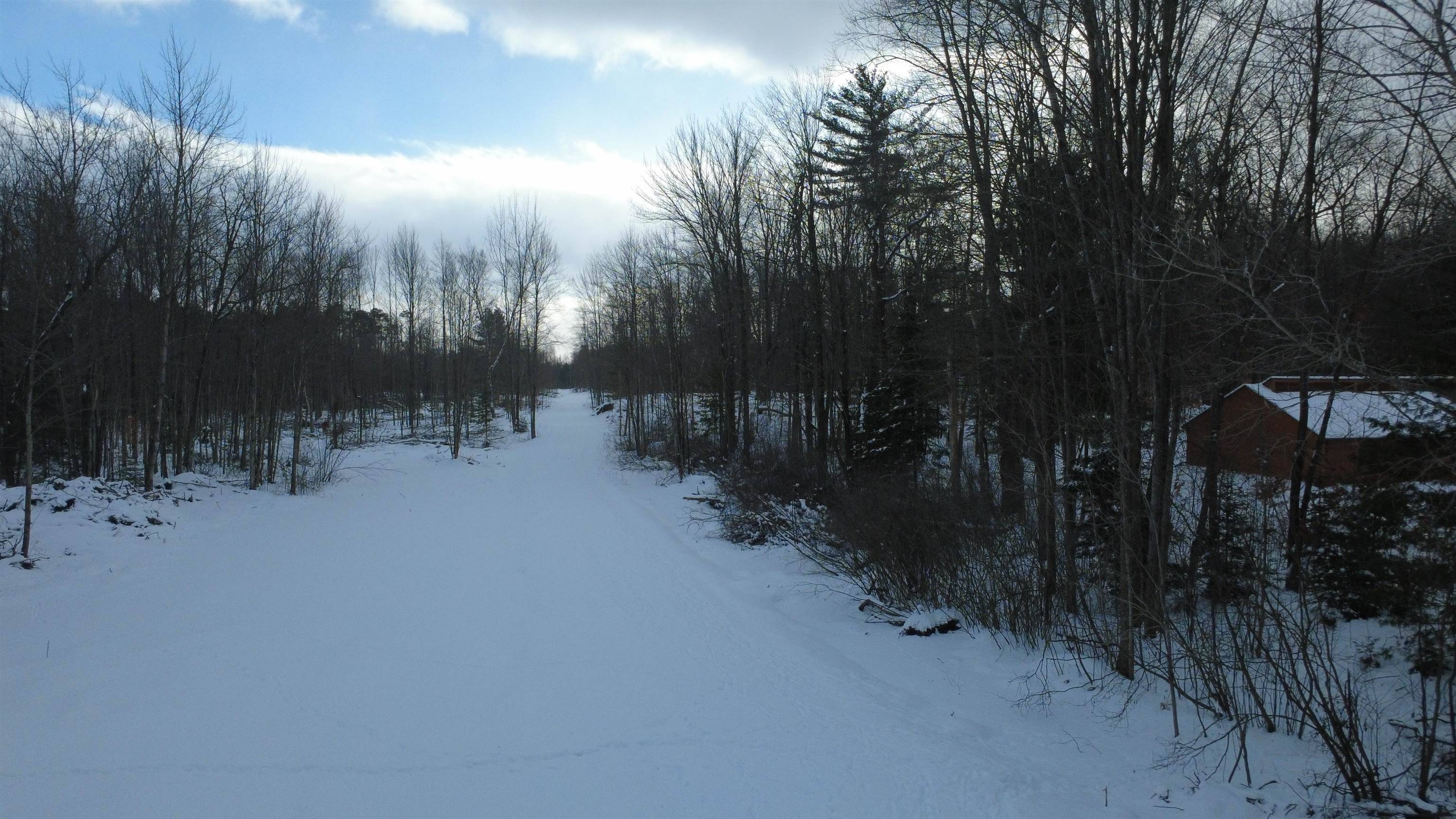 Alger, MI 48610,1319 Laporte RD