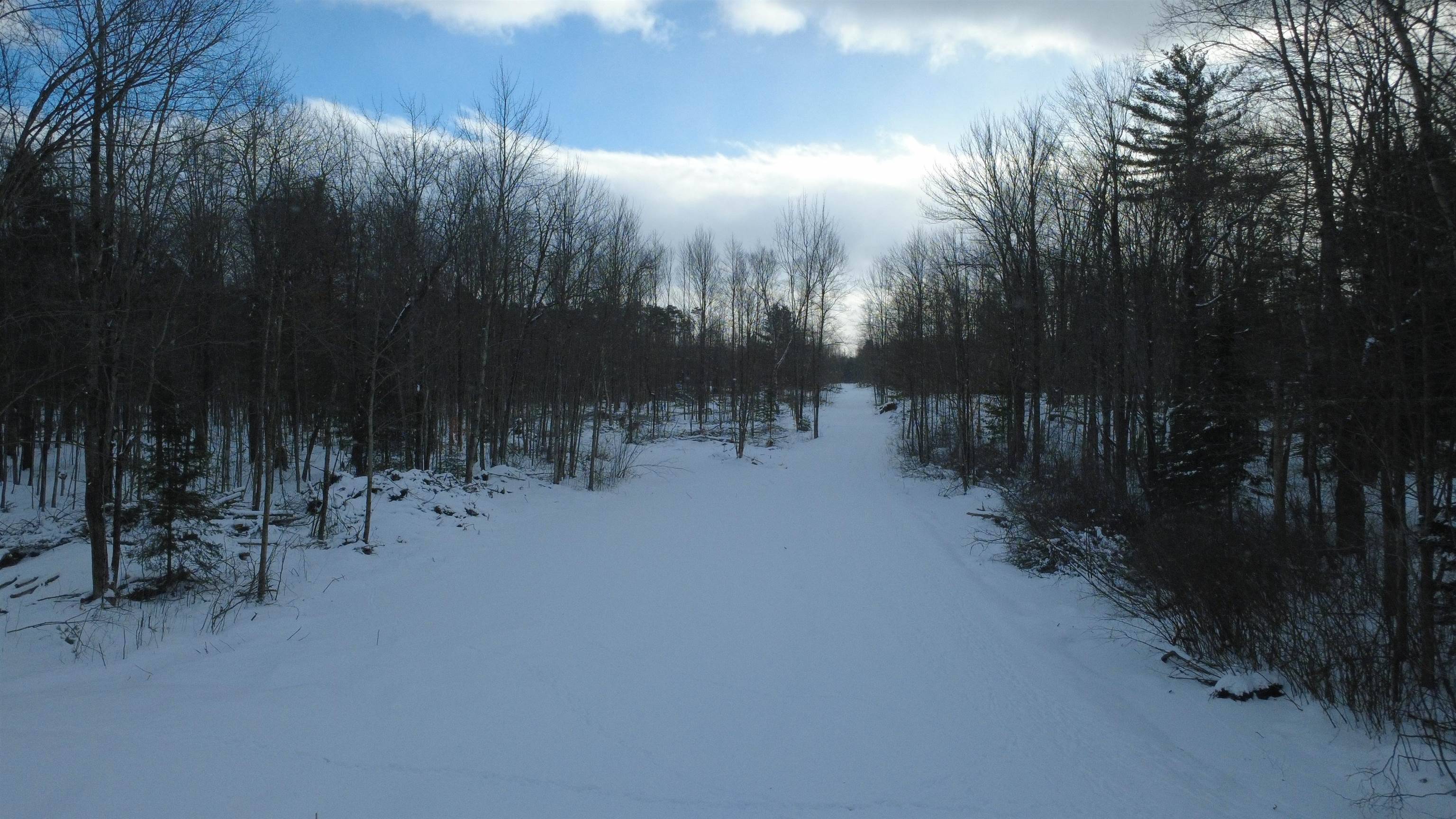 Alger, MI 48610,1319 Laporte RD