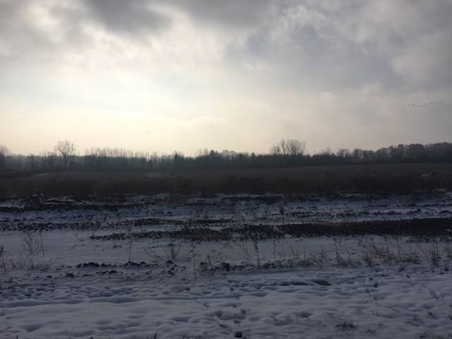 Mount Pleasant, MI 48858,S Lincoln