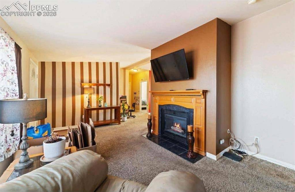 Pueblo, CO 81003,2311 Canyon River CT