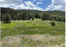 Westcliffe, CO 81252,Lot 1 County Road 358